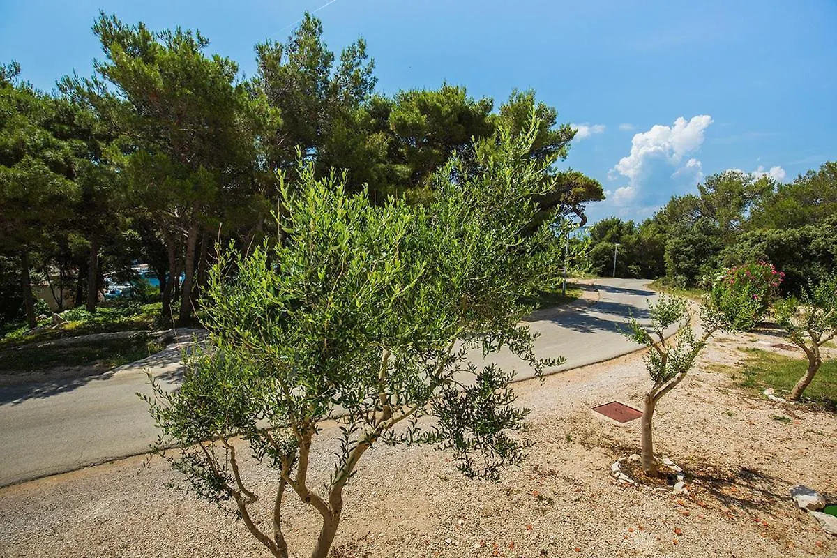 Apartments Sandra Mandre